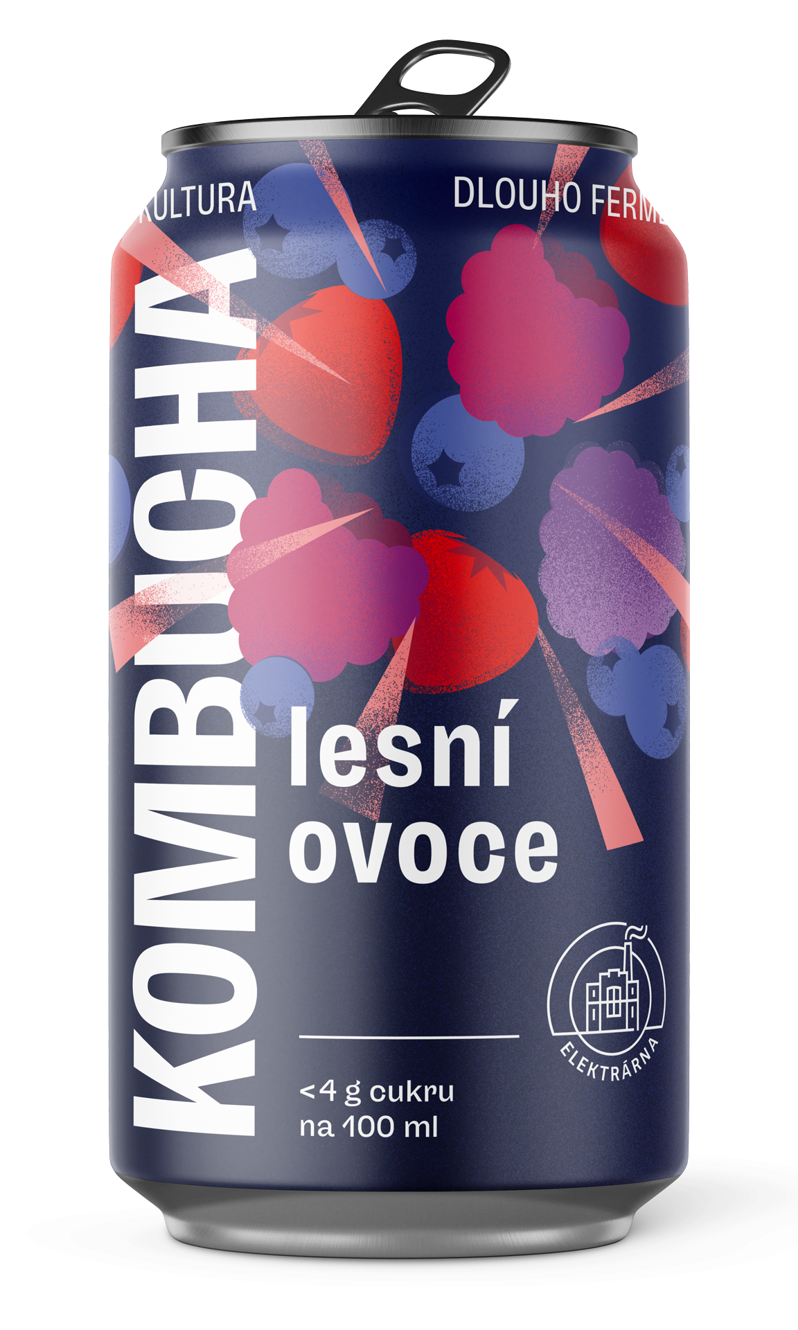 Kombucha lesní ovoce